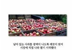 사과 키워 팔다가 수천억 대부호가 된 노부부 이미지