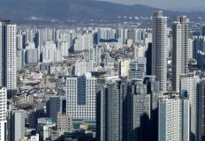 "이번엔 진짜?"…천도론에 들썩이는 세종 집값, 언제까지 오를까 이미지