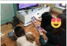 고양이있는 친구집 놀러가면 생기는 일.jpg 이미지