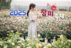 “장미 꽃다발과 함께하는 5월 가족 여행” 2025 장미축제 일정 이미지