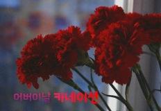 센스 만점 어버이날 카네이션 고르기 (+카네이션 꽃말) 이미지