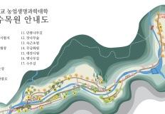“5월 11일 지나면 다시 못 봅니다”… 58년 만에 열린 비밀의 숲 이미지