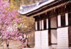 "1박2일 코스로 추천하는 장소!" 제64회 아산 성웅 이순신축제, 아산과 대표 명소 여행 이미지