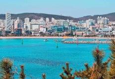 "무료 입장! 울산 대왕암공원 출렁다리 여행" 이미지