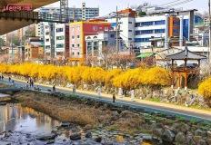 “수변 감성 가득”… 서울 속 힐링 걷기 코스 홍제천 나들이 이미지