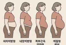 내 뱃살은 어떤 모양? "뱃살 모양"에 따라 달라지는 다이어트법 이미지