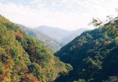 “지금만 갈 수 있어요”… 20년간 닫혔던 비경, 하루 60명 한정 이미지