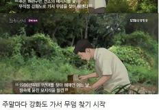 조상묘 찾으라는 꿈꾸고 진짜로 찾아낸 남자 이미지