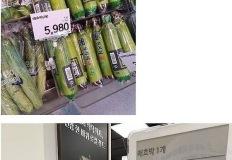 채소계의 비트코인 이미지