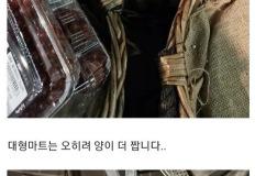 무단으로 블루베리 5kg 넘게 몰래 따간 사람 이미지
