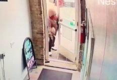 (분노주의) 카페에 던져 버려진 고양이?? CCTV에 찍힌 유기의 순간 이미지