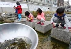 논에 널려있었는데… 꽃게에 밀려 사라졌다는 최고급 한국 식재료 이미지