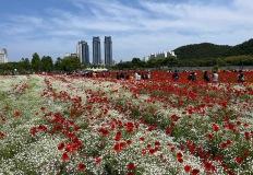 무료로 즐길 수 있는 5월 봄꽃 축제는? 바로 태화강에서! 이미지