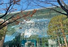 "49세에서 45세로" 서울시, 난자동결 지원사업 상한 연령 축소 검토 이미지