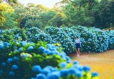 "꽃보고, 걷고, 쉬고" 피톤치드 향 가득한 5월 가족 여행지 이미지