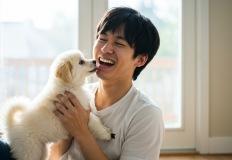 강아지가 핥는 이유 20가지｜애정 표현일까? 스트레스 신호일까? 이미지