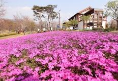 "여기 풍경, 제주도보다 더 예뻐!" 40만 명이 추천한 5월 힐링 여행지 TOP3 이미지