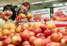 ‘이것’ 먹고 예방하세요, 콜레스테롤 막는 과일 6가지 이미지