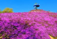 "가족 나들이 고민 끝!" 5060세대가 직접 추천한 만족도 1위 여행지 이미지