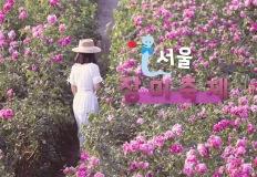 "심쿵주의" 서울 장미 축제와 함께 인생샷 100장 보장하는 장미 명소 TOP 5 이미지