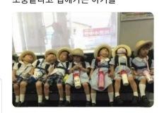 소풍 끝나고 집에 가는 아기들 모습 이미지