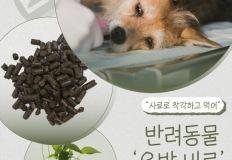 "사료처럼 생겼네"…반려동물 '유박비료' 섭취 주의보 이미지