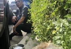 지진에 떨고 있던 유기견... 사랑으로 다시 웃다! 이미지