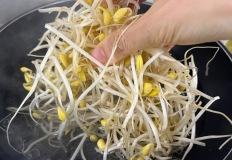 콩나물 삶을 때 물 넣지 마세요! 아삭함 2배 살리는 콩나물 삶는 법 이미지