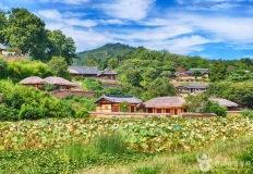 "선비의 고택 따라 걷다 보면..." 유네스코가 인정한 민속기행 이미지
