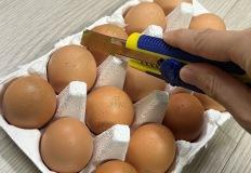 계란판을 칼로 자르세요! 한번 알면 평생 유용한 계란판 활용법 이미지
