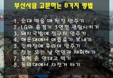 부산사람 고문하는 8가지 방법.jpg 이미지