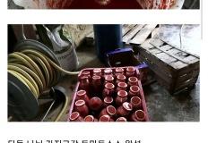 한국인에게 너무 익숙한 이탈리아 문화 특.jpg 이미지