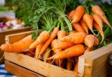 “당근과 함께 먹으면 ‘찰떡궁합’… ‘이 음식’ 매일 아침 드셔보세요!” 이미지