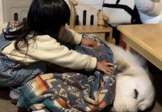 "바닥서 자는 강아지 감기 걸릴까봐 딸이 이불 덮어줬어요" 이미지