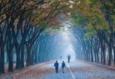 "도심 속 바다가 주는 즐거움!" 인천 남동구, 도심 속 초록 풍경과 해양 명소의 어우러짐 이미지