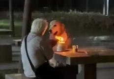 할머니와 반려견 이미지