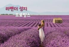 "전 세계가 주목하는 라벤더 성지" 프랑스 남부 여행, 프로방스 이미지