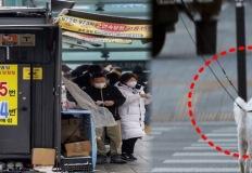 "1등, 2등 연달아서?"...강아지가 가져온 행운, 복권 1등에 당첨된 특별한 사연! 이미지