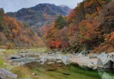 "초록 숲과 계곡, 그리고 고요한 사찰까지! 인제군, 특별한 여행지의 추억과 문화 만끽하기 이미지