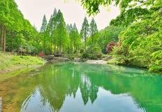 숲속 산책 명소 논산 온빛자연휴양림 이미지
