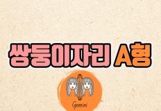 [별혈 칼럼] 쌍둥이자리 A형 여자 남자 성격 분석 이미지
