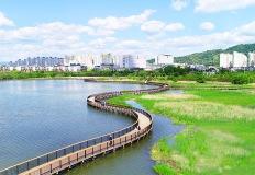 "주차도 공짜, 입장도 공짜" 야경까지 챙긴 숨은 힐링 산책 명소 이미지