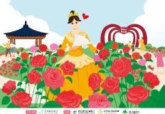 환상적인 장미를 선보이는 장미꽃 필(Feel)무렵 이미지