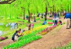 “장미·티니핑·수직정원까지”… 고양국제꽃박람회 가족 나들이 명소 이미지