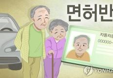 "운전면허 반납하면 매년 30만원 지급" 보령시, 70세~74세 대상 지원금 상향 이미지