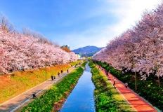 “서울 한복판에 이런 곳이?”… 양재천 걷기 명소, 초록 산책 코스 이미지
