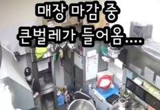 매장 마감중에 벌레가 들어와 사장님을 부름 이미지