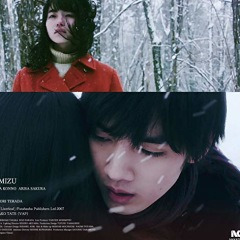 Misumiso 노루귀꽃 ミスミソウ Liverleaf 18