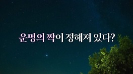 MZ 점술가 8인 연애 리얼리티…'신들린 연애' 6월 18일 첫방 [공식]