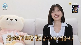 '미래의 애견미용사' 조이 